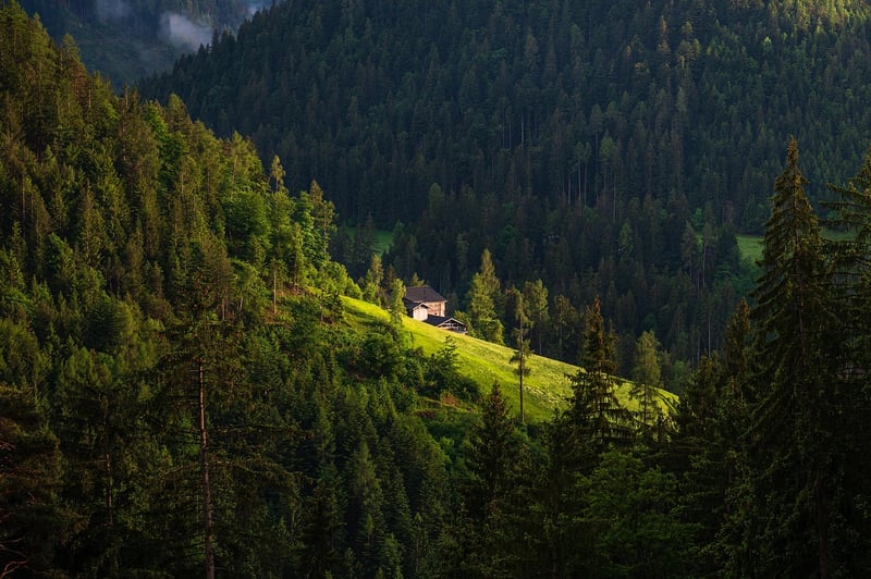Remote Cabins